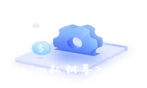 如何将Tokenim私钥导入钱包：详细指南