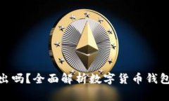 : 数字货币钱包可以退出吗？全面解析数字货币钱