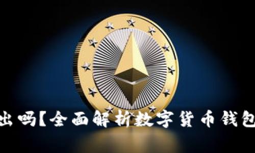 : 数字货币钱包可以退出吗？全面解析数字货币钱包的功能与使用注意事项