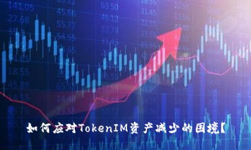 如何应对TokenIM资产减少的困境？