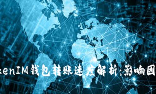 TokenTokenIM钱包转账速度解析：影响因素与策略