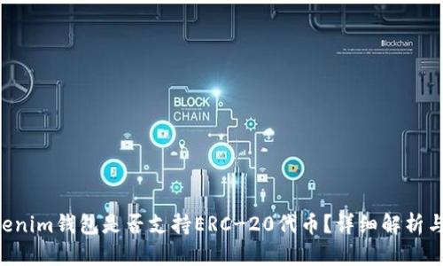 Tokentokenim钱包是否支持ERC-20代币？详细解析与使用指南