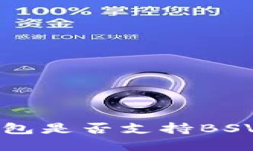 TokenTokenIM钱包是否支持BSV？详解及使用指南