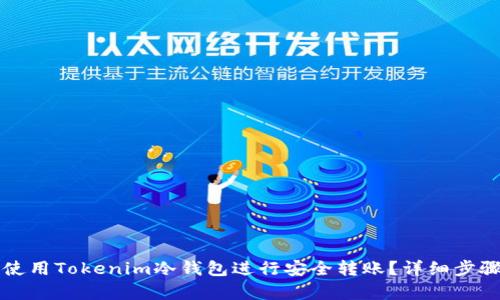 如何使用Tokenim冷钱包进行安全转账？详细步骤解析