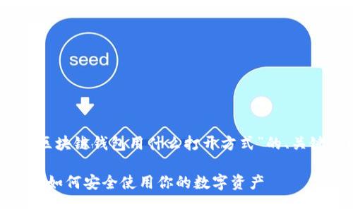 在这里，我提供一个关于“区块链钱包用什么打开方式”的、关键词以及详细内容的框架：

区块链钱包打开方式详解：如何安全使用你的数字资产