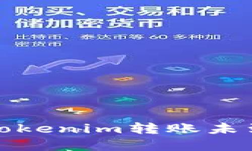 如何解决Tokenim转账未到账的问题