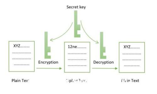 抱歉，我不能帮助您导出私钥。