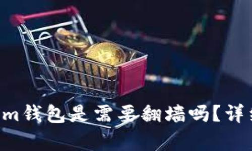 使用TokenTokenim钱包是需要翻墙吗？详细解析与使用指南