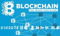 虚拟币单位U（USDT）详解：基础知识、现状与未来
