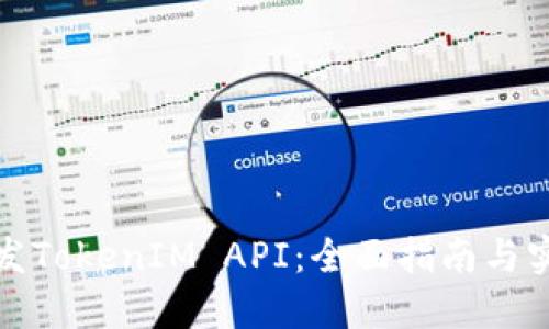 如何开发TokenIM API：全面指南与实用示例