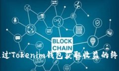 如何通过Tokenim钱包获取收益的终极指南