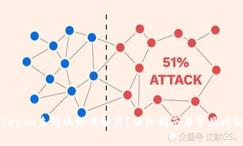 转Tokenim未到账如何解决？详细指南与常见问题解答