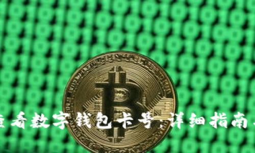 如何查看数字钱包卡号：详细指南与技巧