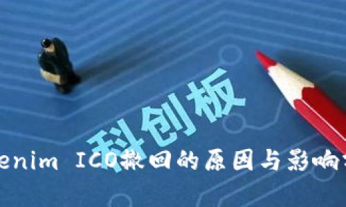 Tokenim ICO撤回的原因与影响分析