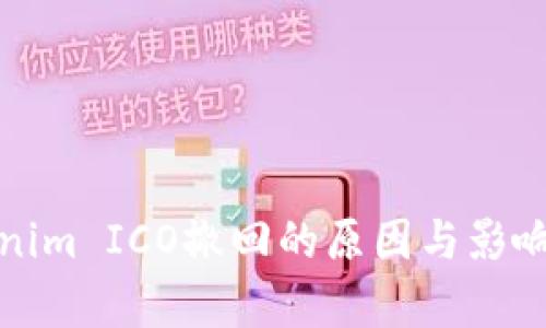 Tokenim ICO撤回的原因与影响分析