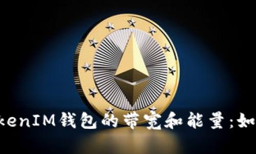 深入了解TokenTokenIM钱包的带宽和能量：如何您的区块链体验
