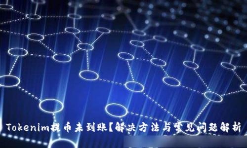 Tokenim提币未到账？解决方法与常见问题解析