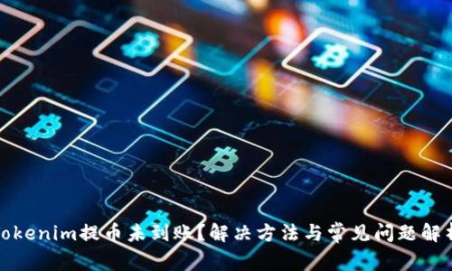 Tokenim提币未到账？解决方法与常见问题解析