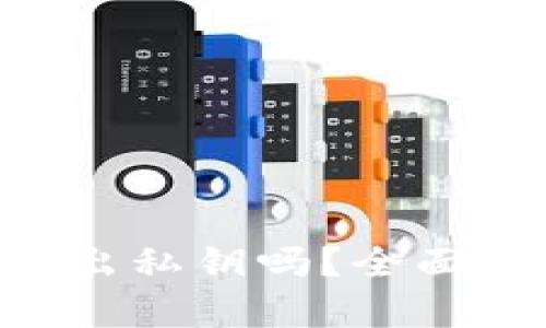 Tokenim必需导出私钥吗？全面解析与安全建议