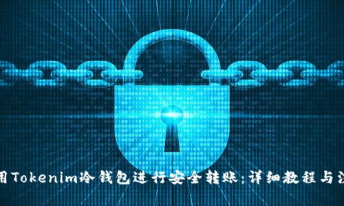 如何使用Tokenim冷钱包进行安全转账：详细教程与注意事项