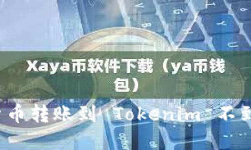 如何解决货币转账到 Tokenim 不到账的问题？