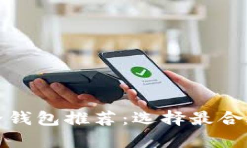 加密货币安全钱包推荐：选择最合适的存储方式
