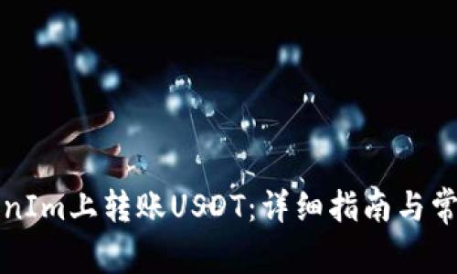 如何在TokenIm上转账USDT：详细指南与常见问题解答