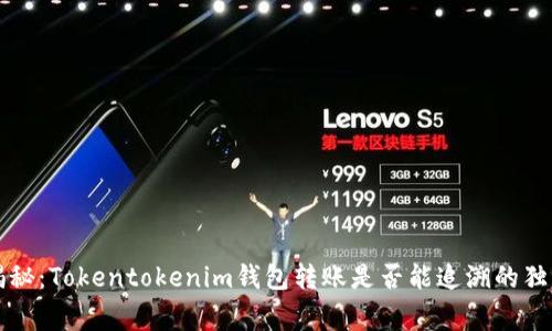 专家揭秘：Tokentokenim钱包转账是否能追溯的独家秘诀