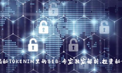 揭秘TOKENIM里的BEB：专家独家解析、投资秘诀