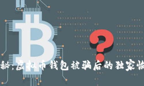 专家揭秘：虚拟币钱包被骗后的独家恢复秘诀