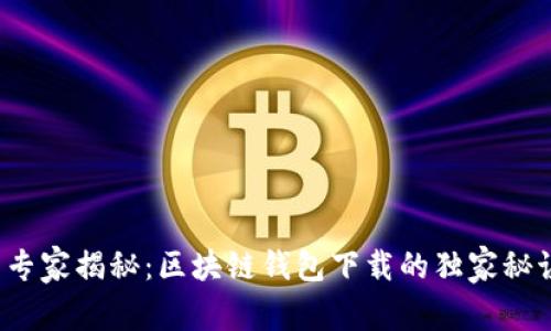  专家揭秘：区块链钱包下载的独家秘诀