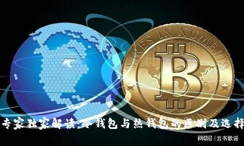 揭秘专家独家解读：冷钱包与热钱包的区别及选择秘诀