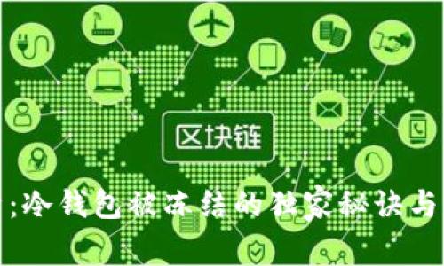 专家解析：冷钱包被冻结的独家秘诀与防范措施