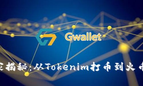 专家独家揭秘：从Tokenim打币到火币的秘诀!