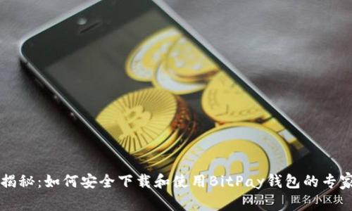 独家揭秘：如何安全下载和使用BitPay钱包的专家秘籍