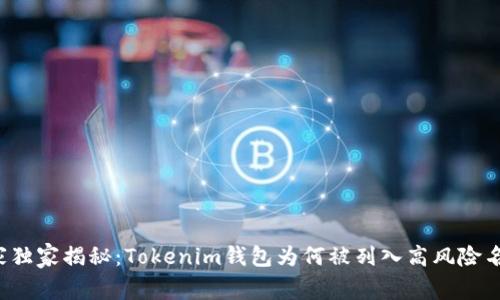 专家独家揭秘：Tokenim钱包为何被列入高风险名单？