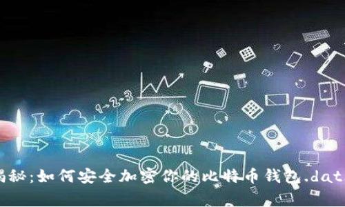 专家独家揭秘：如何安全加密你的比特币钱包.dat文件的秘诀
