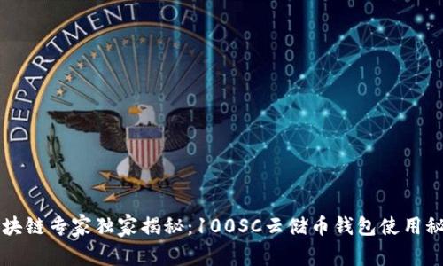 区块链专家独家揭秘：100SC云储币钱包使用秘诀