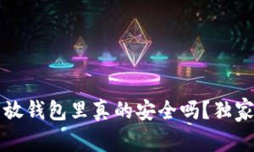 专家揭秘：数字货币放钱包里真的安全吗？独家秘诀让你防范风险！