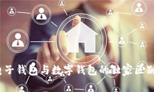 专家解读：电子钱包与数字钱包的独家区别与应用秘诀