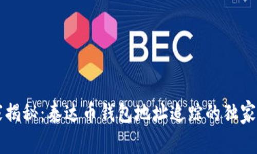 专家揭秘：泰达币钱包地址追踪的独家秘诀