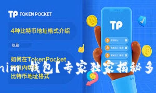如何使用 Tokenim 钱包？专家独家揭秘多账户登录的秘诀