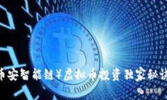 专家揭秘：BSC（币安智能链）虚拟币投资独家秘
