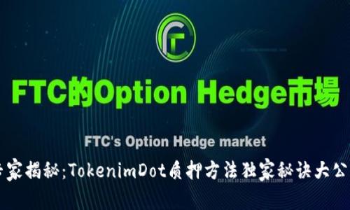 专家揭秘：TokenimDot质押方法独家秘诀大公开