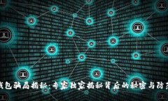 数字钱包骗局揭秘：专家独家揭秘背后的秘密与