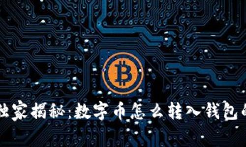 专家独家揭秘：数字币怎么转入钱包的秘诀
