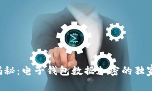 专家揭秘：电子钱包数据加密的独家秘诀！