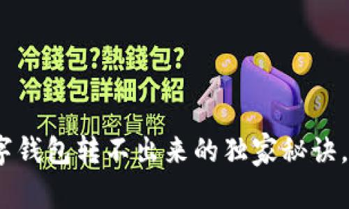 专家揭秘：数字钱包转不出来的独家秘诀，教你应对风险