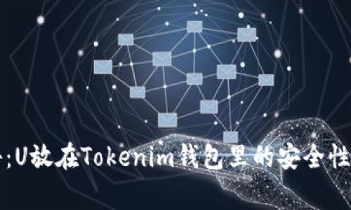 专家独家揭秘：U放在Tokenim钱包里的安全性与可靠性秘诀