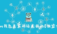 专家揭秘：国际版Tokenim钱包是真的还是假的？独